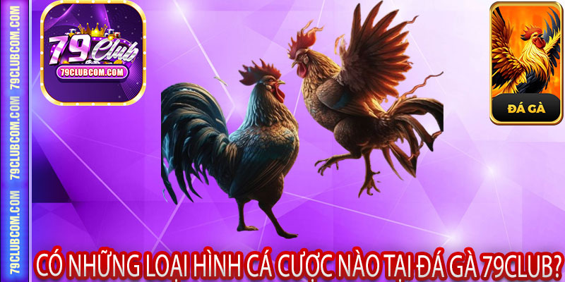 Có Những Loại Hình Cá Cược Nào Tại Đá Gà 79Club?
