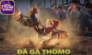Da Ga Thomo