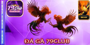 Tất Tần Tật Về Sảnh Cược Đá Gà 79Club Dành Cho Tân Thủ