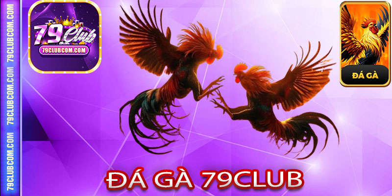 Tất Tần Tật Về Sảnh Cược Đá Gà 79Club Dành Cho Tân Thủ