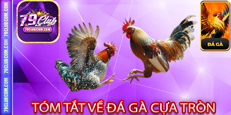 Tóm Tắt Về Đá Gà Cựa Tròn